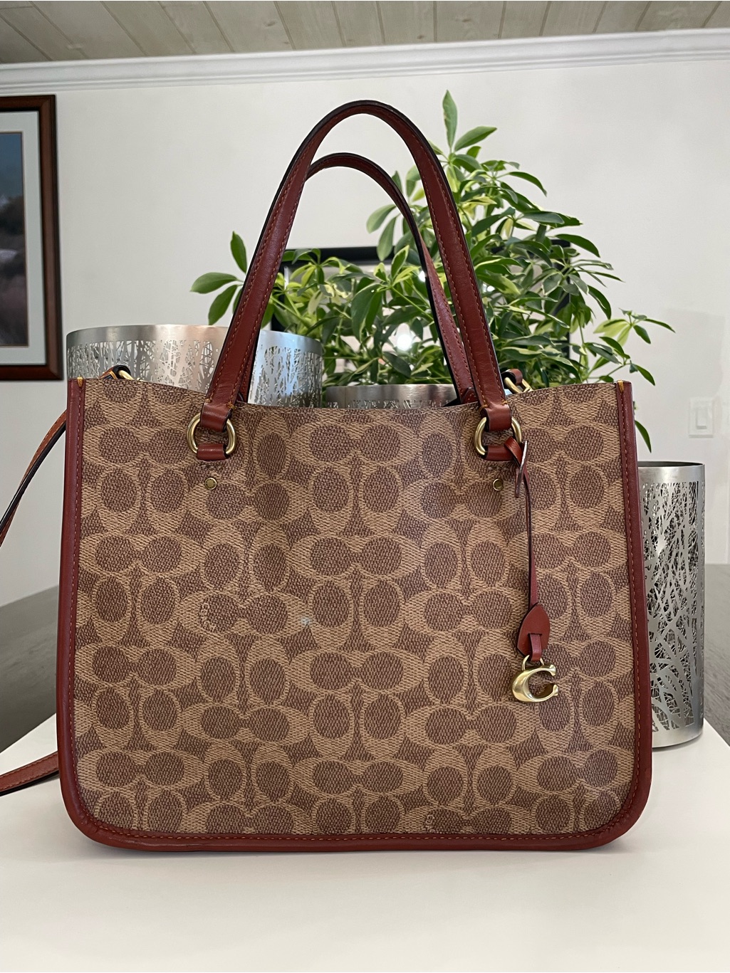 Coach Brown Signature Canvas Tote With Rust Trim